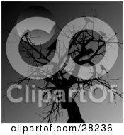 Poster, Art Print Of Crows Perched On A Silhouetted Tree In The Moonlight On A Dark Night