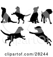 Set Of Silhouetted Dogs Sitting Standing Running And Playing