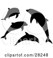 Poster, Art Print Of Set Of Four Silhouetted Dolphins Swimming Jumping And Leaping
