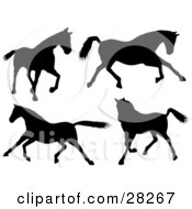 Poster, Art Print Of Set Of Four Silhouetted Horses Walking Running And Galloping