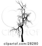 Clipart Illustration Of A Black Silhouetted Bare Leafless Tree In Winter