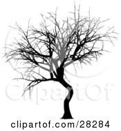 Clipart Illustration Of A Black Silhouetted Bare Tree In Winter