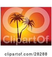 Clipart Illustration Of Silhouetted Palm Trees With Tall Grasses Against An Orange Sunset