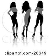Poster, Art Print Of Three Black Silhouetted Sexy Women Standing In High Heels