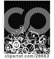 Poster, Art Print Of White Curly Vines And Circles Over A Bursting Black Background