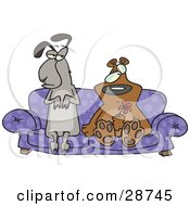 Weird Llama And Bear Couple Seated With Confused Expressions On A Purple Couch The Bear Holding A Red Flower