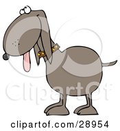 Clipart Illustration Of A Happy Brown Mutt Dog Hanging His Tongue Out And Looking Upwards