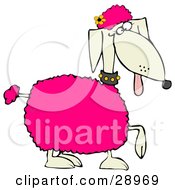 Clipart Illustration Of A Poodle Dog With Pink Tufts Of Hair And A Yellow Flower On Its Head