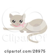 Clipart Illustration Of A Cute Beige Kitty Cat With A Pink Bow Laying On The Ground And Looking Up by Melisende Vector