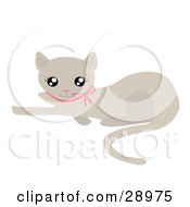 Poster, Art Print Of Cute Beige Kitty Cat With A Pink Bow Laying On The Ground And Looking Up