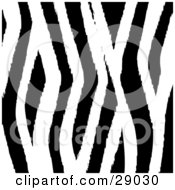 Clipart Illustration Of A Background Pattern Of Black And White Zebra Stripe Fur