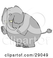 Poster, Art Print Of Big Gray Elephant Standing On Its Hind Legs And Facing To The Left