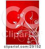 Poster, Art Print Of White Plant With Flowers Over A Red Background With Faint Plants