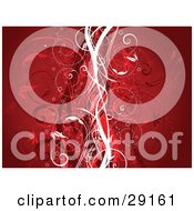 Clipart Illustration Of Delicate White And Red Silhouetted Vines In The Center Of A Red Background