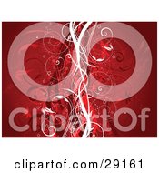 Poster, Art Print Of Delicate White And Red Silhouetted Vines In The Center Of A Red Background