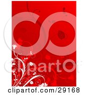 Poster, Art Print Of Red Background With Red And White Leafy Vines