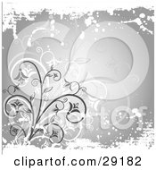 Clipart Illustration Of White Faint And Gray Plants On A Gray Background With White Grunge Along The Top And Bottom