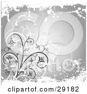 Poster, Art Print Of White Faint And Gray Plants On A Gray Background With White Grunge Along The Top And Bottom