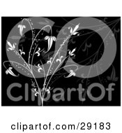 Poster, Art Print Of Sparkling White Plant Over A Black Background With Faint Plants