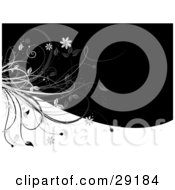 Clipart Illustration Of A Plant Flourish With Flowers On The Left Side Of A Background Of White And Black