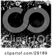 Clipart Illustration Of A Dark Brown Background Bordered By White Flowers Grasses Circles And Grunge
