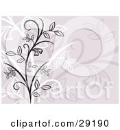 Clipart Illustration Of Black White And Faint Plants Over A Pastel Background
