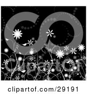 Clipart Illustration Of White Flowers In A Garden Over A Black Background With Brown Circles