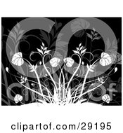 Clipart Illustration Of White Leafy Plants And Grasses Over A Black Background With Faint Plants