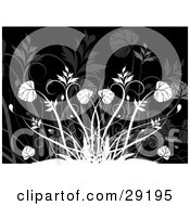 Poster, Art Print Of White Leafy Plants And Grasses Over A Black Background With Faint Plants