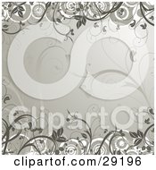 Poster, Art Print Of White Circles And Brown Plants Around A Beige Background With Faint Plants