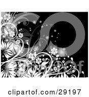 Clipart Illustration Of Glowing White Flowers And Grasses On A Black Background