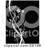Clipart Illustration Of Sparkly Waves Of Gray And White With Vines And Flowers On A Black Background