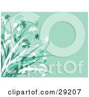 Poster, Art Print Of Tall Green And White Grasses Over A Pale Green Background