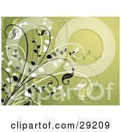 Clipart Illustration Of A Greenish Yellow Background With Black White And Faded Plants