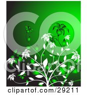 Poster, Art Print Of White And Green Flowers Blooming Over A Bright Green Background