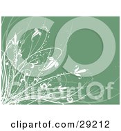 Poster, Art Print Of White Grasses And Leaves Over A Green Background With Sparkles