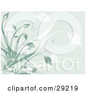 Clipart Illustration Of A Pale Blue Background With Faded White And Green Plants