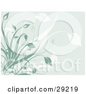 Poster, Art Print Of Pale Blue Background With Faded White And Green Plants