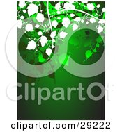 Clipart Illustration Of Green And White Leafy Vines Hanging Over A Green Background