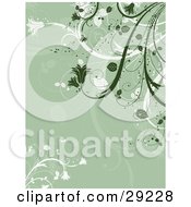 Clipart Illustration Of A Dark Green And White Flowering Plants Over A Sage Green Background