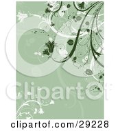 Poster, Art Print Of Dark Green And White Flowering Plants Over A Sage Green Background