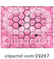 Black Points Of Binary Code Spanning From Spaces In A Pink Hive