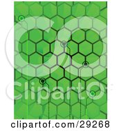 Poster, Art Print Of Points Of Binary Code Spanning From Spaces In A Green Hive