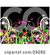 Clipart Illustration Of White Pink Yellow And Green Grasses Growing Over A Black Background