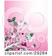 Clipart Illustration Of White Green And Red Leafy Vines Growing Over A Pink Background With A Bright Burst Of Light