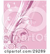 Poster, Art Print Of Background Of Pink And White Vines Emerging From A Cluster Of Circles