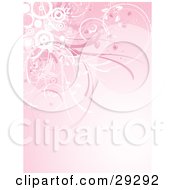 Clipart Illustration Of A Cluster Of Pink And White Grasses And Circles Along The Top Of A Gradient Pink Background