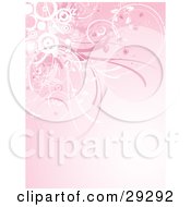 Poster, Art Print Of Cluster Of Pink And White Grasses And Circles Along The Top Of A Gradient Pink Background