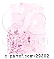 Poster, Art Print Of Pink Floral Grunge Background Of Pink And White Plants And A White Border Of Grunge