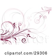 Clipart Illustration Of Dark Red And Pink Flourishes Over A White Background